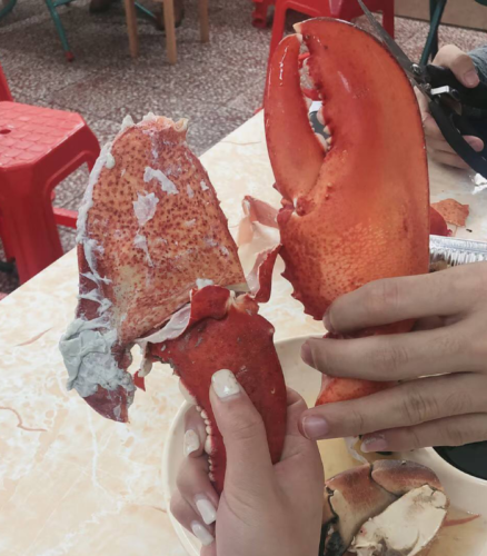 LIMITED EDITION: Giant Deep-Sea Lobster Pincers 🔥 Hurry up! photo review