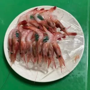 Top-grade Sashimi Seafood, Arctic Sweet Shrimp photo review